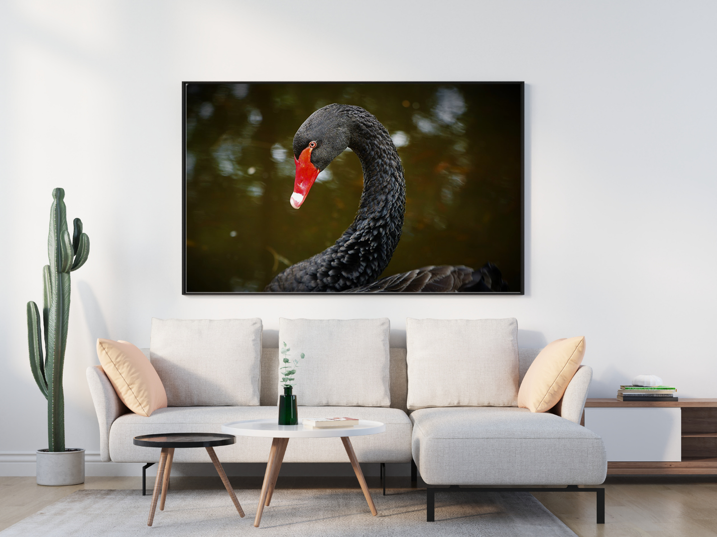 Black Swan original abstract contextualised office art modern decor photo print by Blair Montague Drake